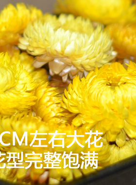 干花包散装50克大号新花包邮天然