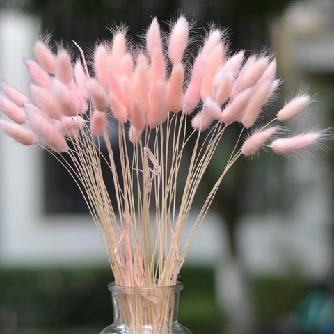 兔尾草干花混搭花束灰黑色ins狗尾永生浮油花材料客厅桌面装饰物