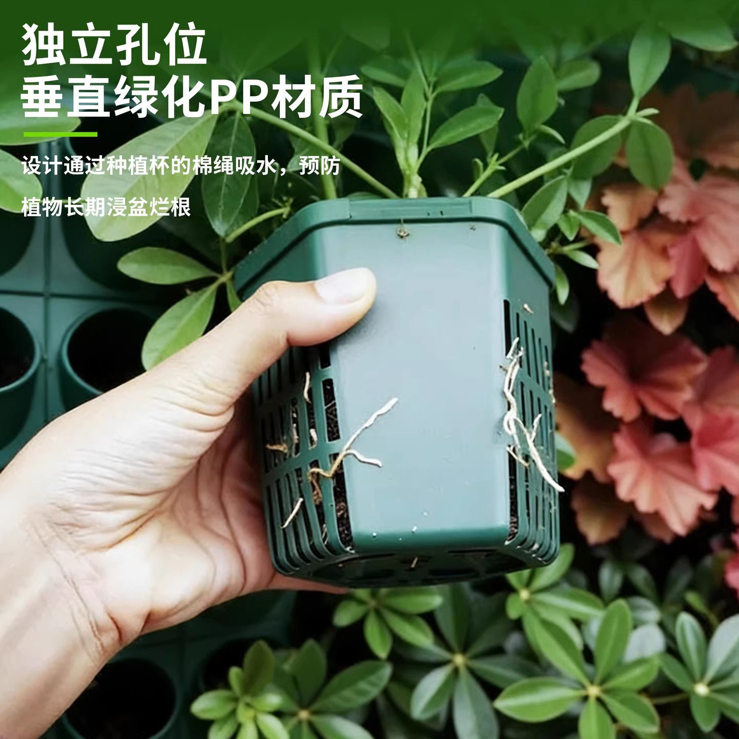 绿植墙植物种植盒客厅阳台热植花架墙洞洞板组合式种植墙自吸水,淘宝优惠券,粉丝福利购,淘宝优惠卷