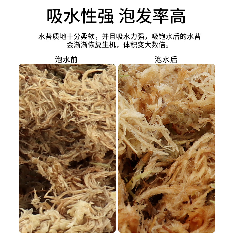 水陆缸造景干水苔无菌兰花专用营养土苔藓微景观植物雨林缸造景-图1