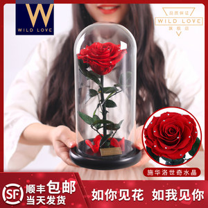 WILDLOVE永生花礼物盒玻璃罩玫瑰花520情人节礼物送女友长辈生日