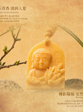 CITTA/西苔乐山佛手柑香薰蜡片持久留香家用衣橱香薰蜡片衣柜挂饰