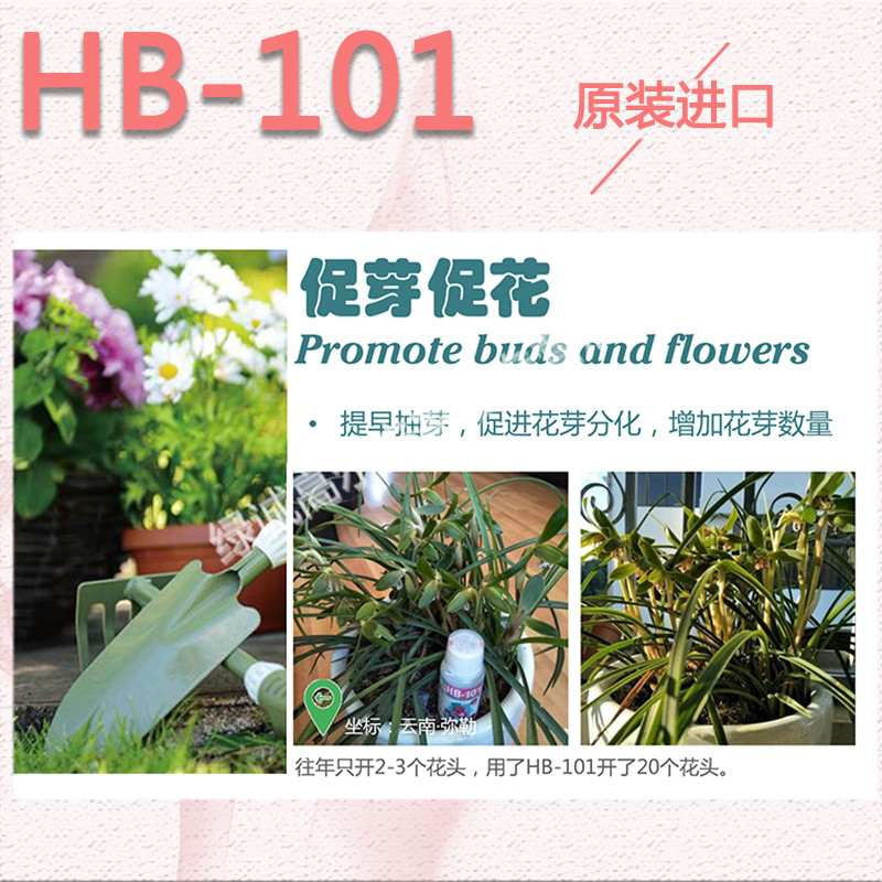 新品日本进口HB101活力液 生长素 生根发芽爆芽 直喷叶面肥促开花 - 图0