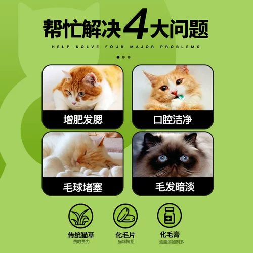 Qiao Belle Cat -Фрозон сушеные кошачьи трава гранулы кошачья закуски -муравья шарики для волос, кремовая кошачья монетная печенья с травой для кошачьего кошачья