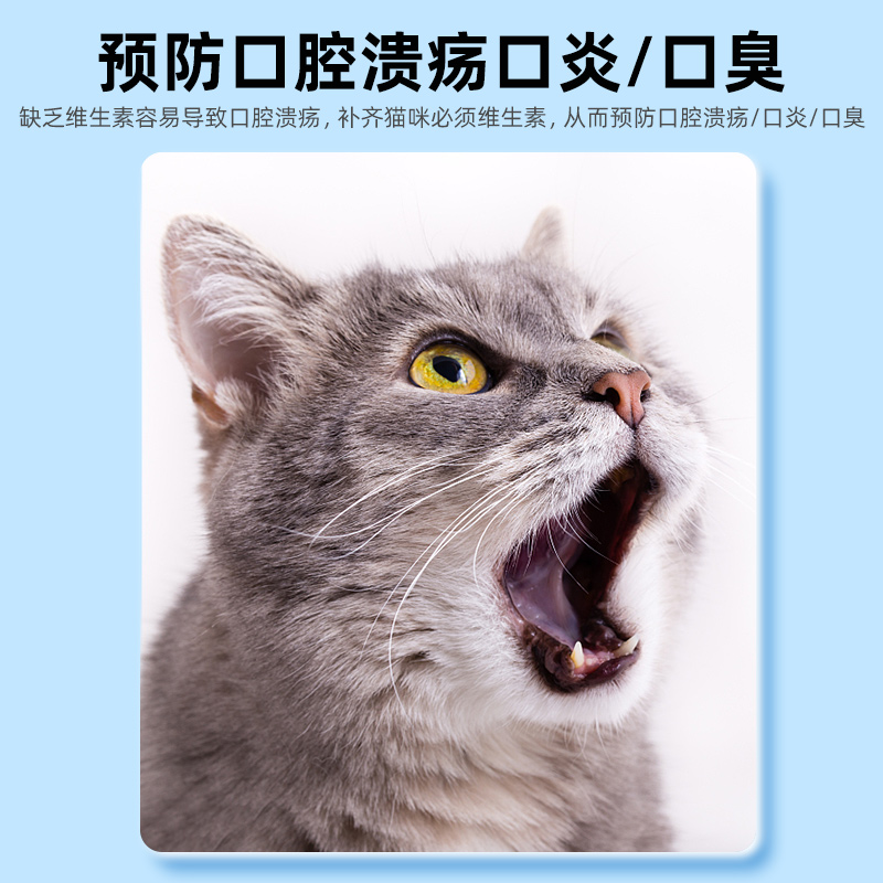 猫咪用复合维生素片多种维b宠物防掉毛营养补充专用微量元素狗狗 - 图3