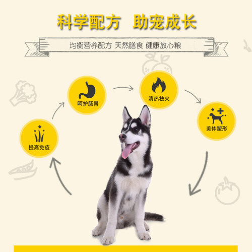 哈士奇二哈雪橇犬专用狗粮20kg成犬幼犬通用40斤中大型犬贡维狗粮 - 图1