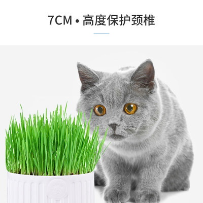 宠袋 水培猫草种植 套装券后6 9元包邮 发现值得买