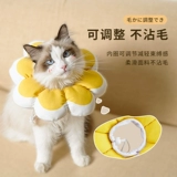 Кошачья воротник Элизабет Круг собачья анти -ненормальная горькая сет