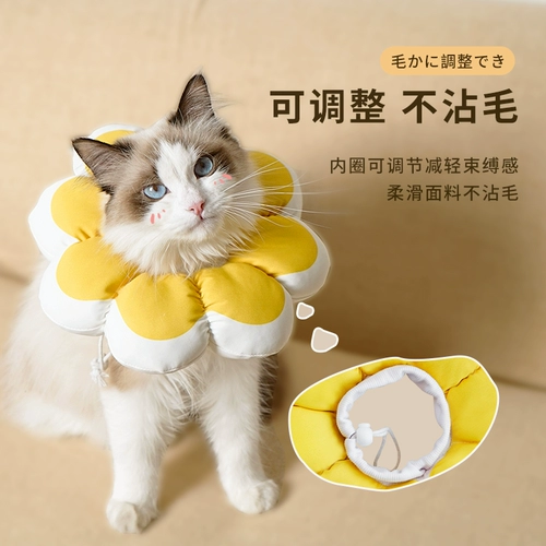 Кошачья воротник Элизабет Круг собачья анти -ненормальная горькая сет