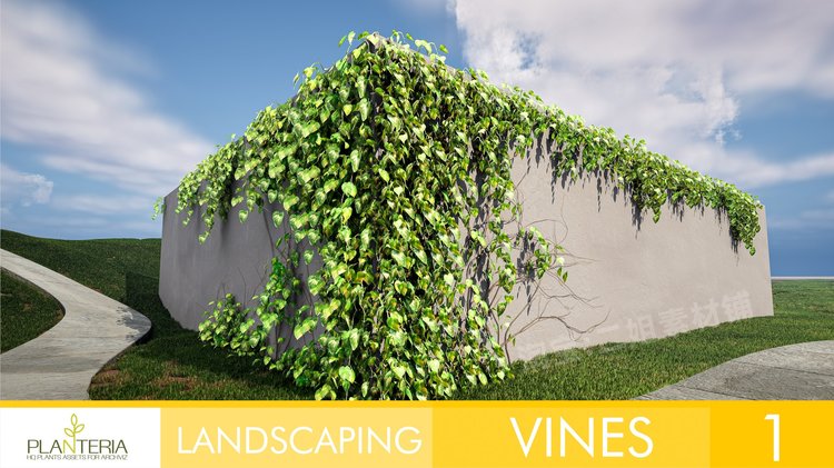 Landscaping Vines 1园林绿化藤蔓UE5虚幻引擎植物建筑可视化景观 - 图3