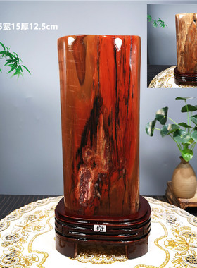 天然木化石原石硅化木奇石摆件