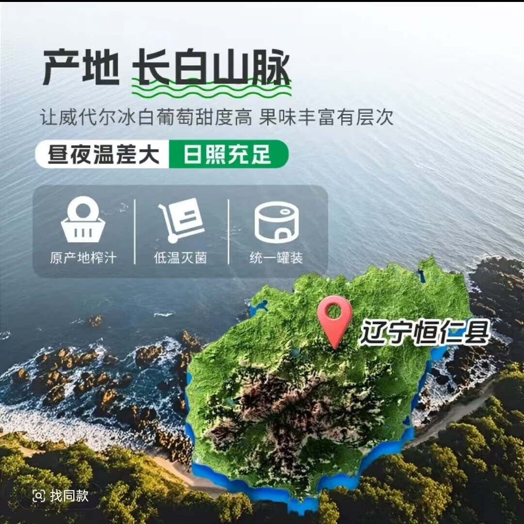 林源春长白山冰白葡萄原汁零下18度采摘NFC鲜榨果汁300ml*9瓶 - 图0