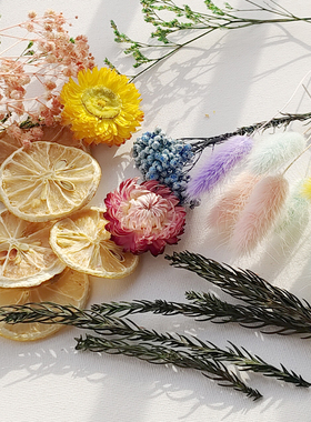 永生花材料干花diy柠檬片圣诞摆件团建手工diy材料包干果装饰