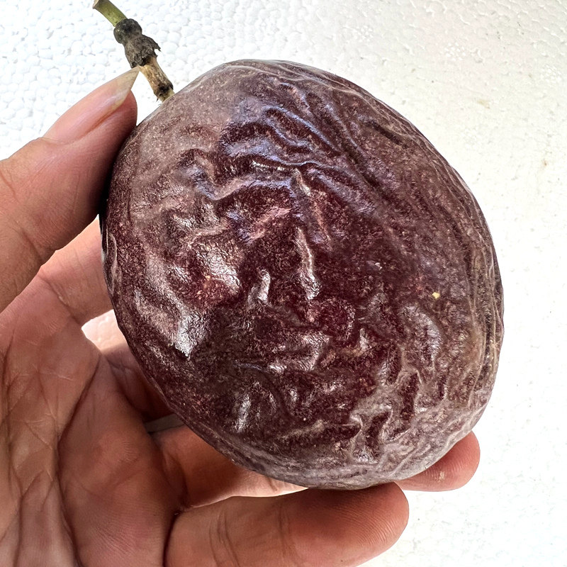  鲜小小果百香果