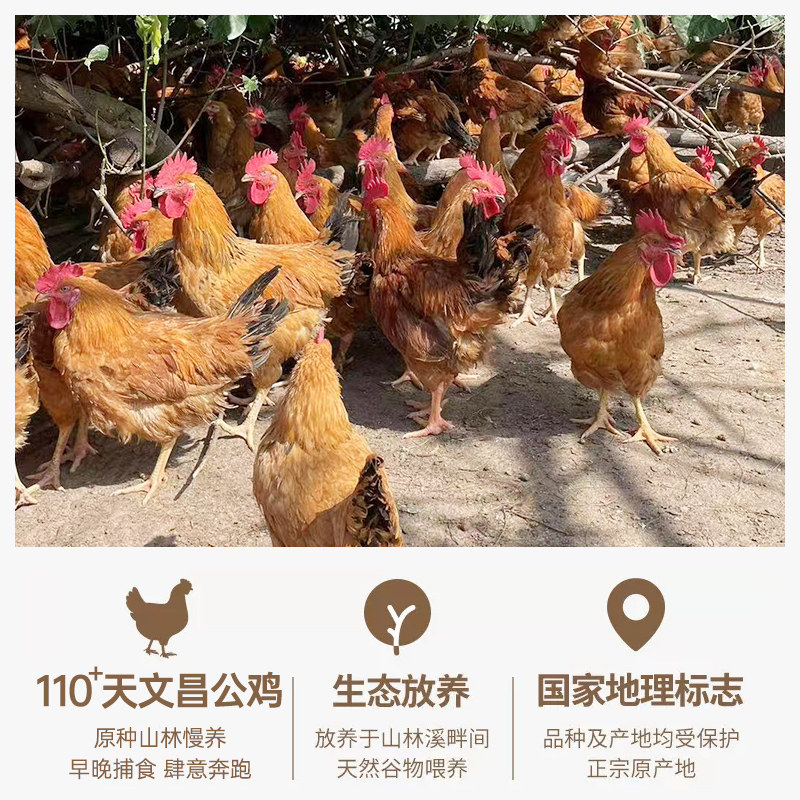 公鸡童子鸡 海南文昌鸡新鲜切块小公鸡800g*3盒走地土鸡农家散养,淘宝优惠券,粉丝福利购,淘宝优惠卷