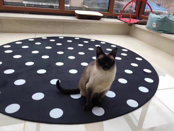 北欧地毯简约现代卧室黑白波点客厅茶几沙发榻榻米床边地垫可定制