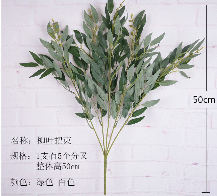 水橄榄草图片大全,橄榄图片,橄榄叶图片(第7页)_大山谷图库