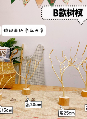 树杈幼儿园diy作业杂货森系松果