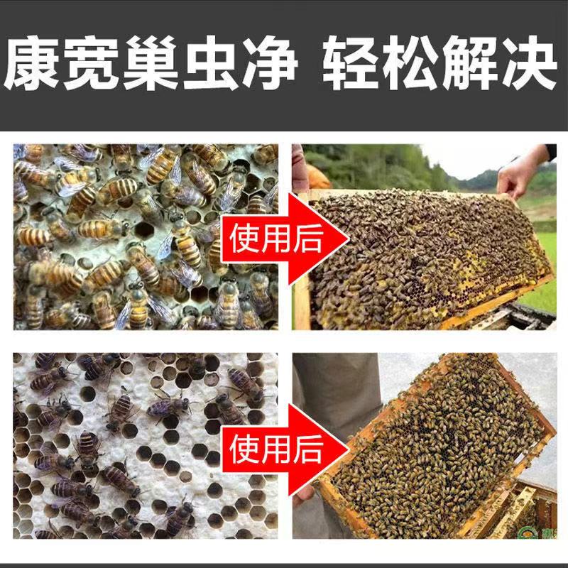 康宽巢虫净金海纳杀巢虫药杜邦康宽养蜂药巢虫清灭杀灵清木片包邮-图2