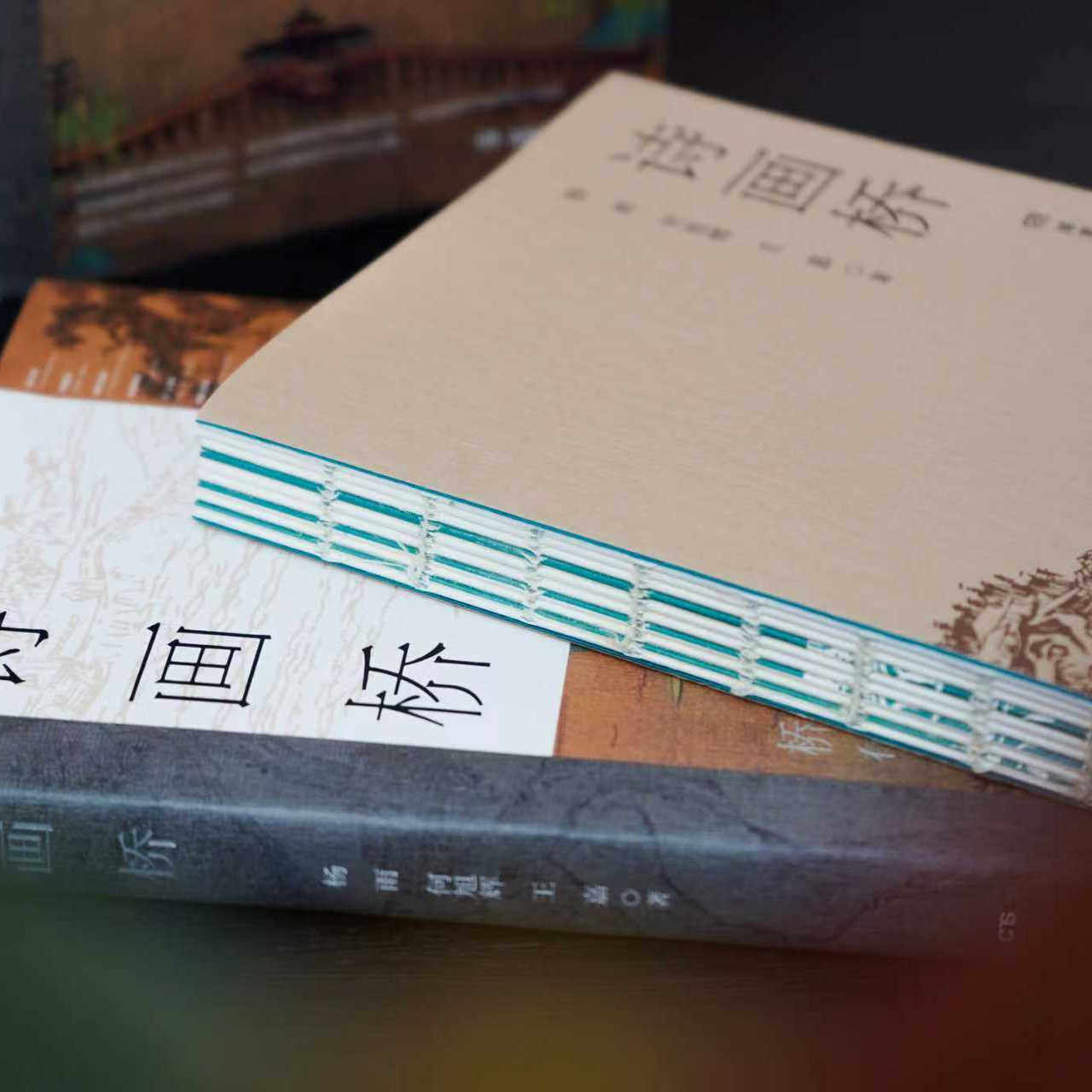 【好物体验专享】诗画桥（CCTV《百家讲坛》主讲人杨雨跨学科经典作品，馆藏级别高清古画，以诗心读懂中国美学）,淘宝优惠券,粉丝福利购,淘宝优惠卷