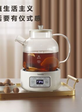 110V全玻璃多功能煮茶养生壶1L