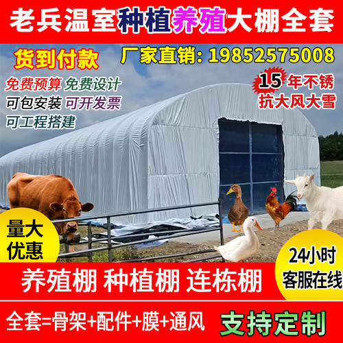 大棚骨架养牛羊大棚管全套连栋蔬菜种植棚定制菌菇棚 - 图1