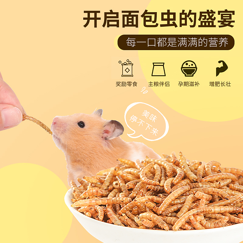 小仓鼠粮食面包虫干金丝熊刺猬黄粉零食用品主粮饲料专用营养食物 - 图0