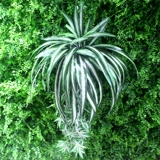 Имитационная стена Стена Зеленая растительная стена с фоновой стенкой Украшение