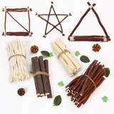 Высушенные ветви украшают сухие ветви в детские сады детский