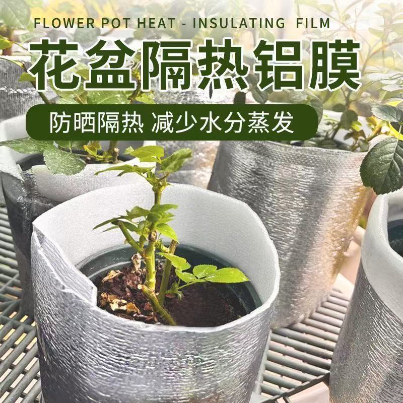 花盆防晒隔热膜保温棉隔热棉套垫罩板月季盆栽铝箔珍珠棉加厚锡纸 - 图0
