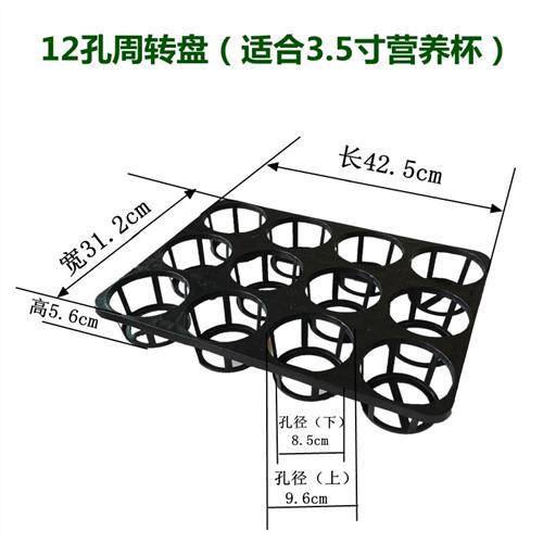 加厚蝴蝶兰托盘营养杯周转盘育苗穴盘花卉多肉植物托盘营养土水苔-图1