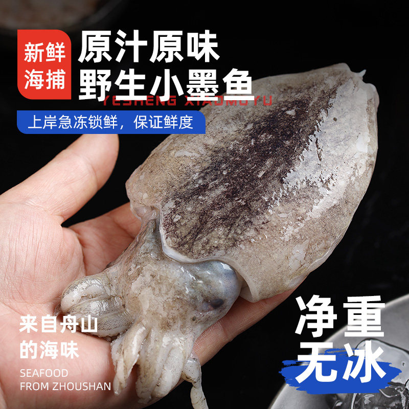 遇上鲜舟山野生小墨鱼仔鲜活新鲜生鲜冷冻东海目鱼仔乌贼鲜活海鲜,淘宝优惠券,粉丝福利购,淘宝优惠卷
