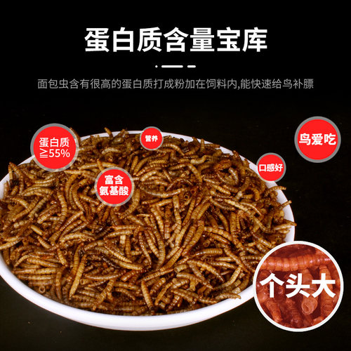 面包虫八哥鸟食虫干饲料鹩哥鸟粮画眉鸟相思鸟百灵鸟画眉食鸟饲料 - 图1