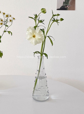 束口玻璃花器韩国ins软装插花瓶