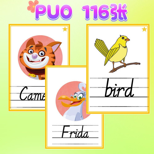 剑桥PowerUp少儿英语单词教学闪卡PU01234教师教具铜版纸塑封 - 图2