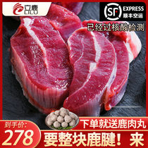 Fresh deer tendons with less oil 5 catties and abundant natural deer Jilin Mayflower deer leg meat frozen raw and fresh deer meat delivery