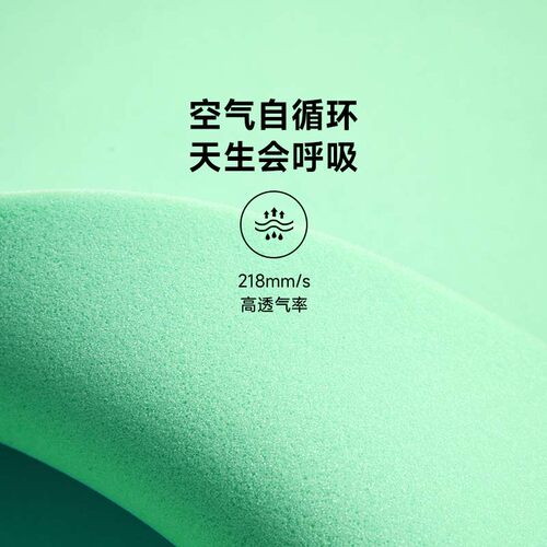 8H 海绵薄床垫伴侣学生青少年宿舍抗菌防螨卷装便携床褥榻榻米垫 - 图1