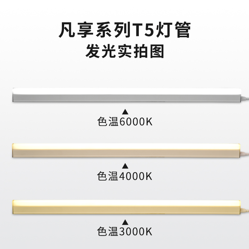 路易华登 t5灯管led支架灯一体化支架灯家用LED灯带灯管日光1.2米 - 图3