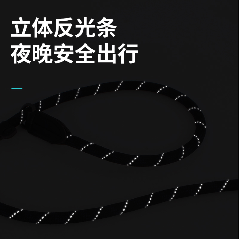 P型P链P绳训练用品狗狗牵引绳遛狗绳子宠物链子小型中型犬大型犬 - 图3