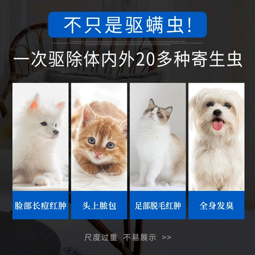 爱纳它 Собачья клеща Kang Dog Dewerming Medicine, интегрированная внутри и снаружи клещи. Скабийная клещ