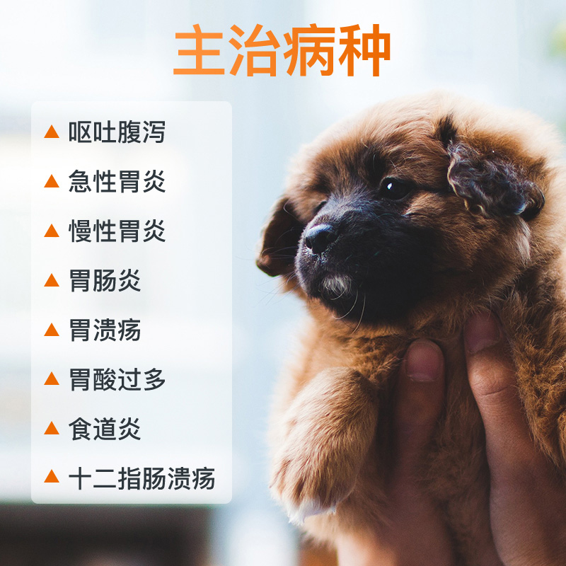 合宠 止吐药西咪替丁宠物犬猫狗胃炎呕吐黄水胃酸溃疡肠胃调理 - 图0