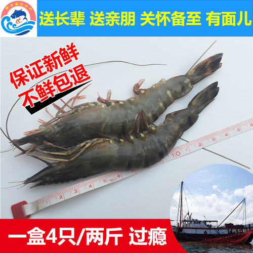 青岛海鲜野生大虾新鲜对虾包邮鲜活速冻冷冻水产特大海虾草虾虎虾 - 图1
