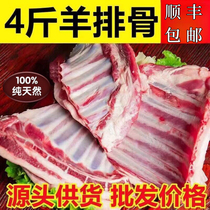 Fresh sheep steak clear and real kill Inner Mongolia sheep ribs Spike Ribs sheep Sheep Corner Steak goats Sheep Corner Steak