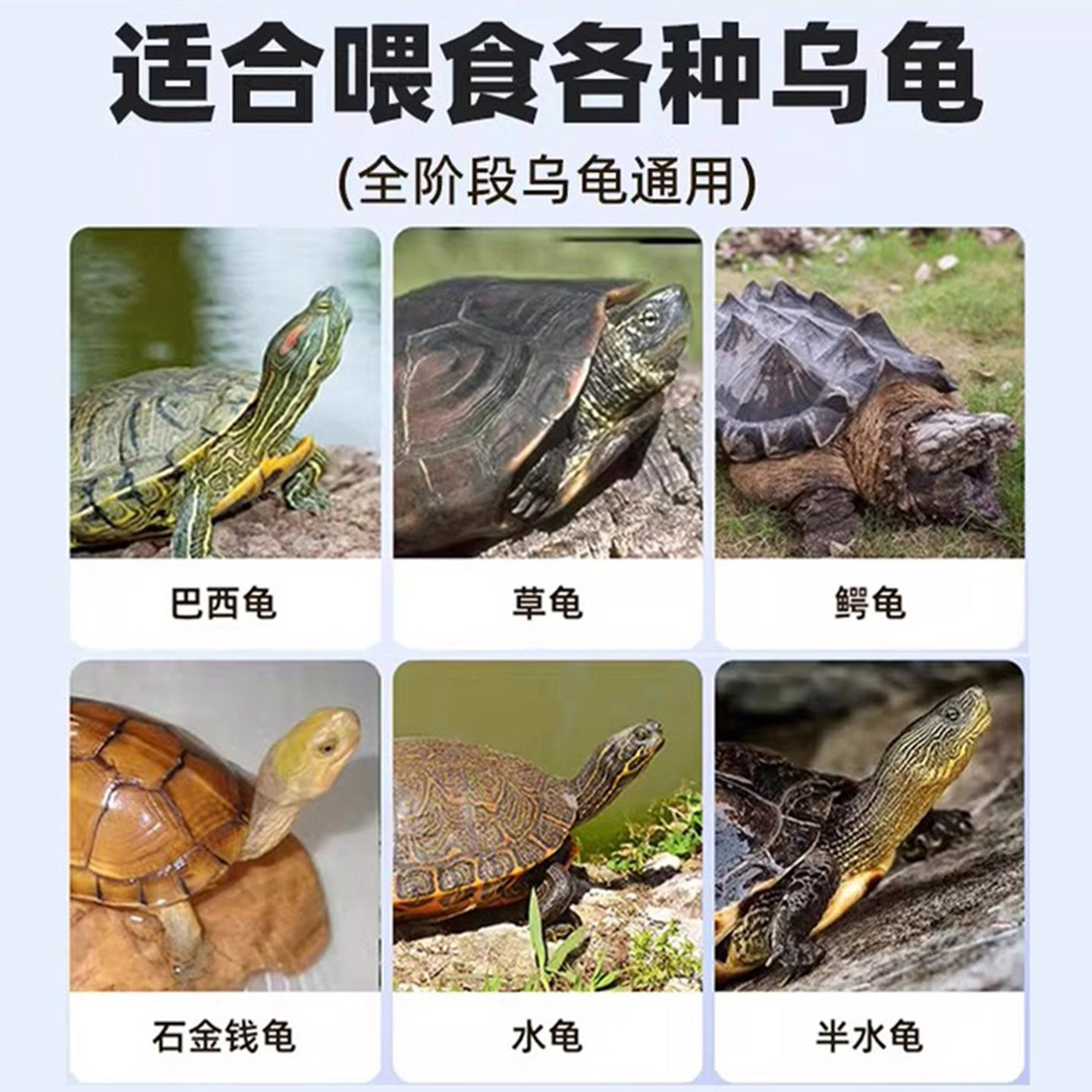 小乌龟饲料龟粮淡水无盐小鱼干虾干巴西草龟幼龟通用补钙专用食粮,淘宝优惠券,粉丝福利购,淘宝优惠卷