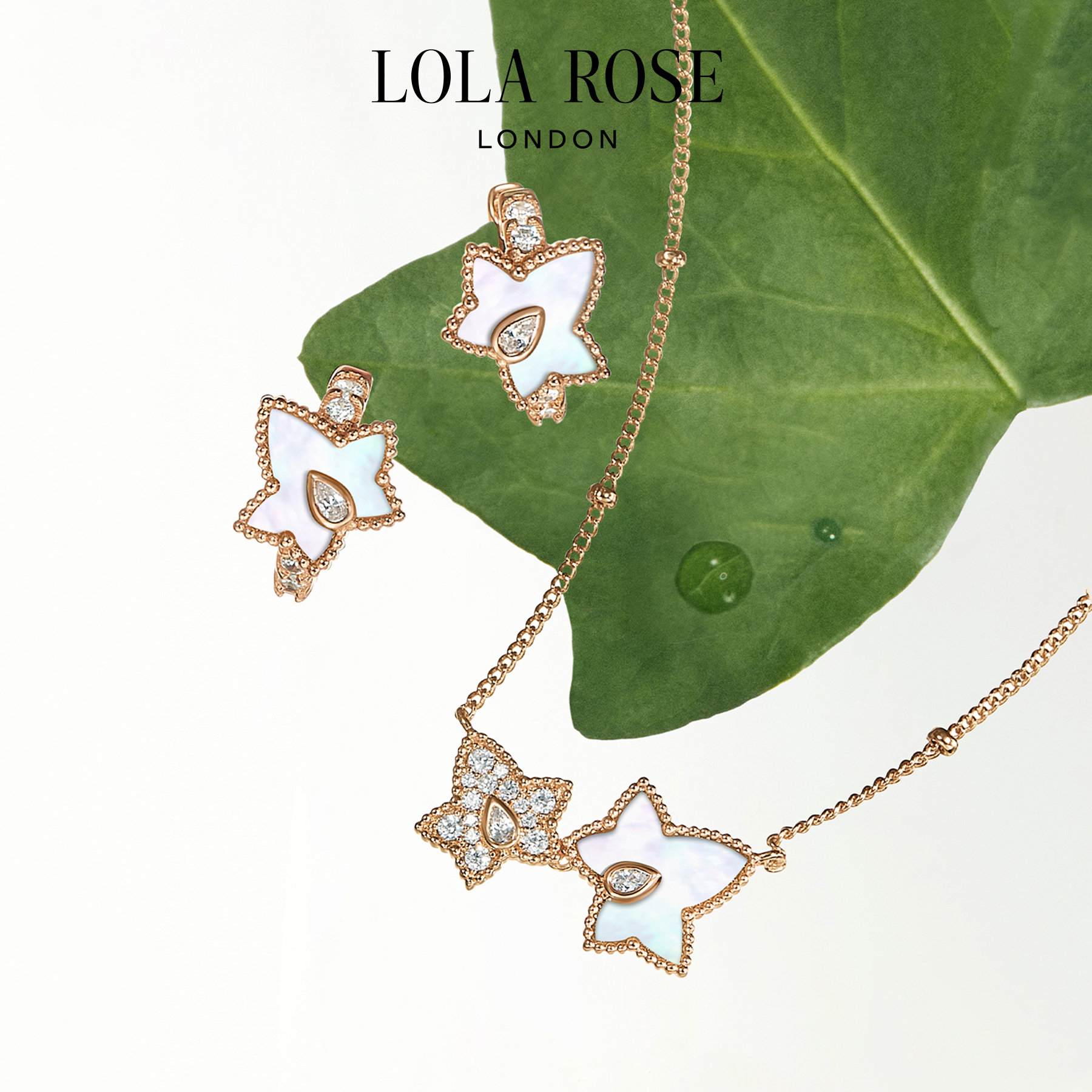 [新品上市]Lola Rose罗拉玫瑰常青藤双叶项链白贝母生日礼物