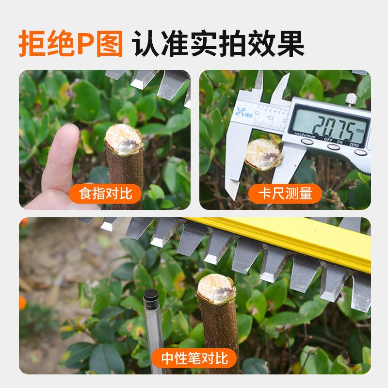 充电式锂电电动绿篱机茶叶树球修剪机剪茶家用园林绿化灌木修枝机-图3