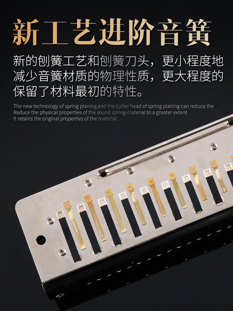 JDR嘉德瑞进阶款半音阶口琴12孔C调EVO-0648S成人初学练习演奏款 - 图2