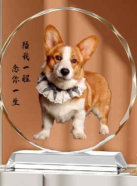 高档宠物相框爪印文字雕刻狗狗猫咪离世相框打印洗照片画像摆台