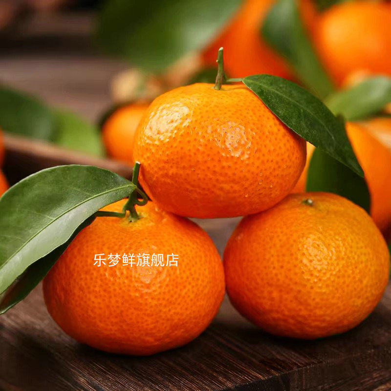 正宗四会砂糖橘新鲜广东德庆沙糖桔子当季蜜柑沃橘纯甜9斤顺丰,淘宝优惠券,粉丝福利购,淘宝优惠卷