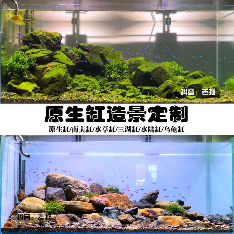 原生缸草 新人首單立減十元 22年3月 淘寶海外 原生缸草 新人首單立減十元 22年3月 淘寶海外